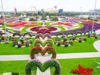 Miracle Garden в Дубае