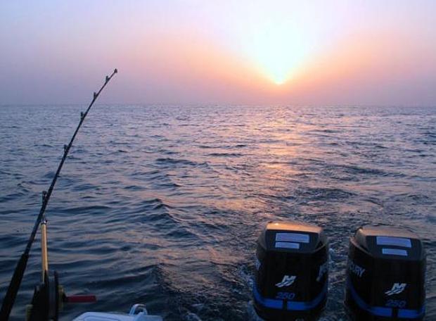 Рыбалка в Дубае (Данная и Троллинг). Дубай из Казани