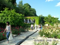 Балчик. Королевский ботанический сад. Критский лабиринт