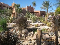 Nubian Island Sharm Hotel
